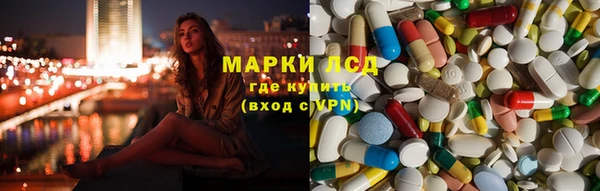 шишки Баксан