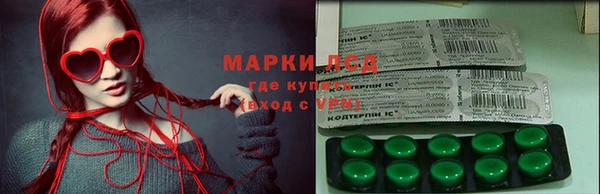 ГАЛЛЮЦИНОГЕННЫЕ ГРИБЫ Балахна