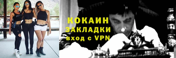 шишки Баксан