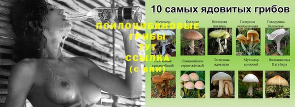 шишки Баксан